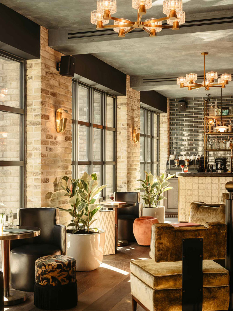 Empty chairs and plants in a bar area