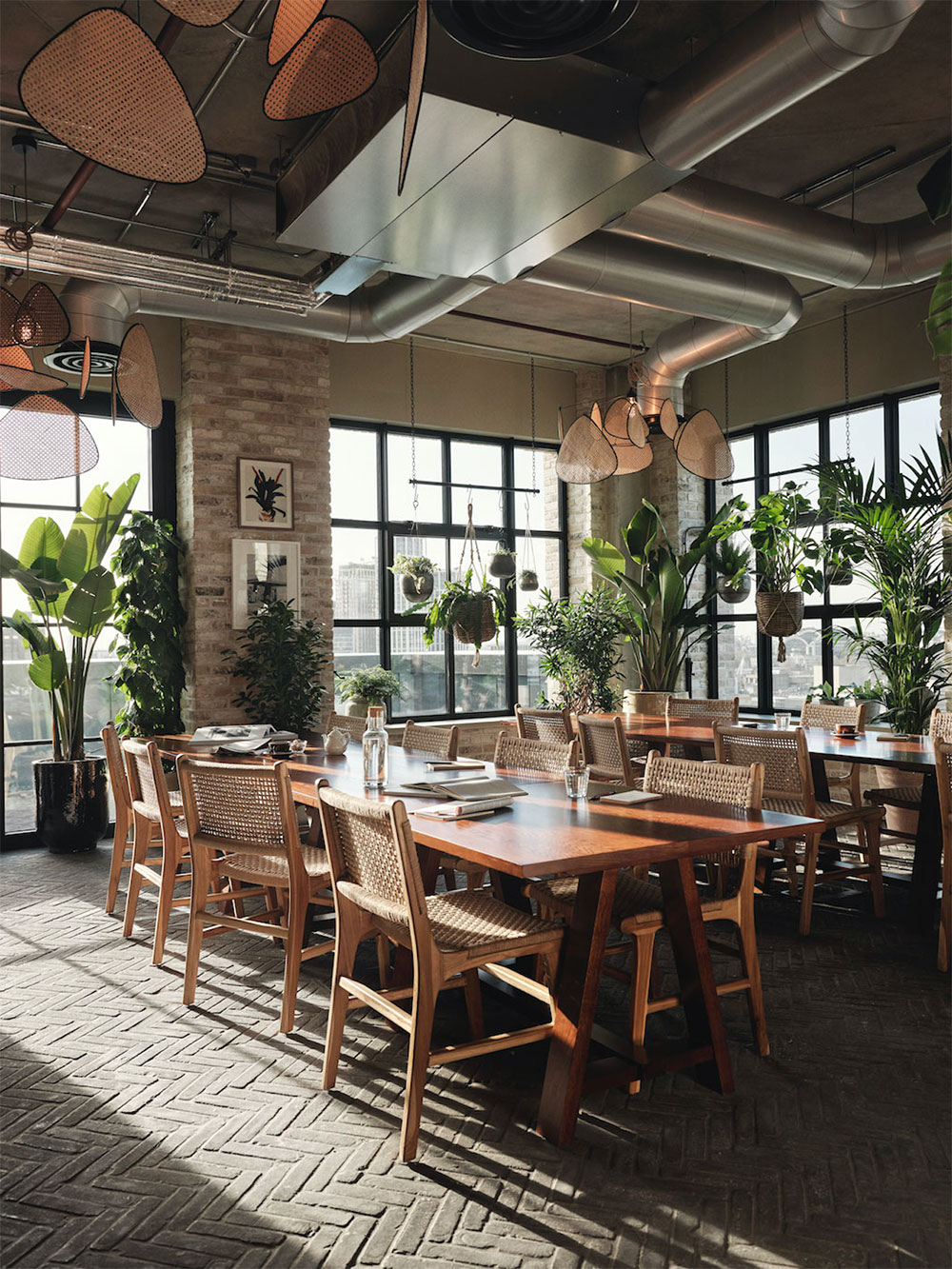 Desks, rattan chairs and lots of plants in front of big windows in a corner of the office