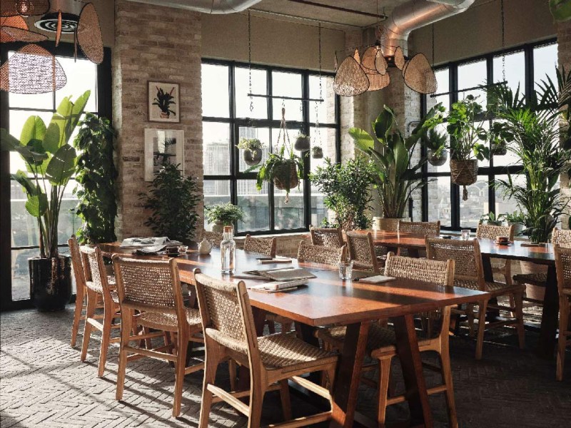 Room with two long tables and many plants hanging in front of the windows